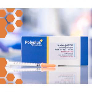 (Polyplus) in vivo-jetPEI® 0.1mL 0.5mL