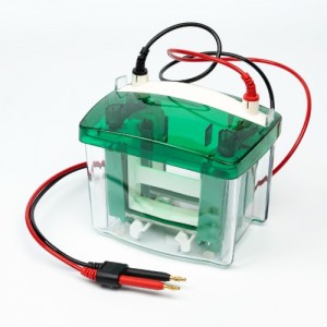 (GeneSTAR) [GMP8004] Mini-PRO4 Electrophoresis Cell (4-Gels)