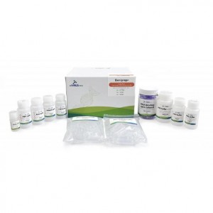Beniprep®  Super Plant Nucleic acid extraction kit